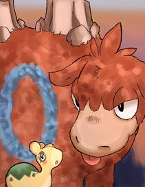Camerupt and Numel